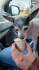 Filename=20230404_002.jpg
Filesize=311KiB
Dimensions=1152x2048
Date added=Sep 04, 2023 20230404_002.jpg