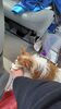 Filename=20230404_003.jpg
Filesize=405KiB
Dimensions=1152x2048
Date added=Sep 04, 2023 20230404_003.jpg