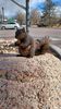 Filename=20230407_011.jpg
Filesize=635KiB
Dimensions=1152x2048
Date added=Sep 04, 2023 20230407_011.jpg