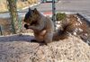 Filename=20230407_012.jpg
Filesize=658KiB
Dimensions=2048x1415
Date added=Sep 04, 2023 20230407_012.jpg