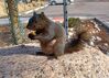 Filename=20230407_013.jpg
Filesize=645KiB
Dimensions=2047x1462
Date added=Sep 04, 2023 20230407_013.jpg