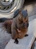 Filename=20230407_015.jpg
Filesize=810KiB
Dimensions=1499x1999
Date added=Sep 04, 2023 20230407_015.jpg