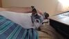 Filename=20230410_003.jpg
Filesize=226KiB
Dimensions=2048x1152
Date added=Sep 04, 2023 20230410_003.jpg