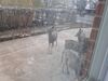 Filename=20230422_001.jpg
Filesize=698KiB
Dimensions=2048x1536
Date added=Sep 04, 2023 20230422_001.jpg