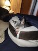 Filename=20230424_001.jpg
Filesize=408KiB
Dimensions=1536x2048
Date added=Sep 04, 2023 20230424_001.jpg