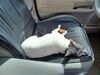 Filename=20230505_003.jpg
Filesize=630KiB
Dimensions=2048x1536
Date added=Sep 06, 2023 20230505_003.jpg