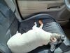 Filename=20230505_005.jpg
Filesize=575KiB
Dimensions=2048x1536
Date added=Sep 06, 2023 20230505_005.jpg
