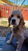 Filename=20230509_002.jpg
Filesize=390KiB
Dimensions=1152x2048
Date added=Sep 06, 2023 20230509_002.jpg