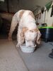 Filename=20230510_001.jpg
Filesize=305KiB
Dimensions=1536x2048
Date added=Sep 06, 2023 20230510_001.jpg
