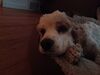 Filename=20230510_008.jpg
Filesize=178KiB
Dimensions=2048x1536
Date added=Sep 06, 2023 20230510_008.jpg