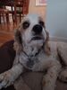 Filename=20230511_001.jpg
Filesize=190KiB
Dimensions=1536x2048
Date added=Sep 06, 2023 20230511_001.jpg