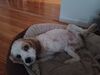 Filename=20230511_002.jpg
Filesize=202KiB
Dimensions=2048x1536
Date added=Sep 06, 2023 20230511_002.jpg