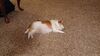 Filename=20230511_003.jpg
Filesize=634KiB
Dimensions=2048x1152
Date added=Sep 06, 2023 20230511_003.jpg