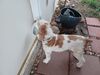 Filename=20230513_009.jpg
Filesize=367KiB
Dimensions=2048x1536
Date added=Sep 06, 2023 20230513_009.jpg