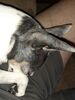 Filename=20230527_007.jpg
Filesize=637KiB
Dimensions=1536x2048
Date added=Sep 06, 2023 20230527_007.jpg