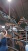 Filename=20230609_013.jpg
Filesize=383KiB
Dimensions=1152x2048
Date added=Sep 07, 2023 20230609_013.jpg