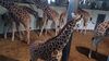 Filename=20230609_014.jpg
Filesize=474KiB
Dimensions=2048x1152
Date added=Sep 07, 2023 20230609_014.jpg