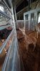 Filename=20230609_017.jpg
Filesize=318KiB
Dimensions=1152x2048
Date added=Sep 07, 2023 20230609_017.jpg