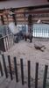 Filename=20230609_019.jpg
Filesize=358KiB
Dimensions=1152x2048
Date added=Sep 07, 2023 20230609_019.jpg