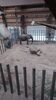 Filename=20230609_020.jpg
Filesize=372KiB
Dimensions=1152x2048
Date added=Sep 07, 2023 20230609_020.jpg