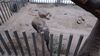 Filename=20230609_021.jpg
Filesize=352KiB
Dimensions=2048x1152
Date added=Sep 07, 2023 20230609_021.jpg