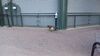 Filename=20230609_028.jpg
Filesize=669KiB
Dimensions=2048x1152
Date added=Sep 07, 2023 20230609_028.jpg