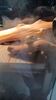 Filename=20230609_030.jpg
Filesize=283KiB
Dimensions=1152x2048
Date added=Sep 07, 2023 20230609_030.jpg
