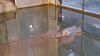 Filename=20230609_033.jpg
Filesize=237KiB
Dimensions=2048x1152
Date added=Sep 07, 2023 20230609_033.jpg