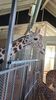 Filename=20230610_003.jpg
Filesize=491KiB
Dimensions=1152x2048
Date added=Sep 07, 2023 20230610_003.jpg