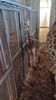 Filename=20230610_004.jpg
Filesize=648KiB
Dimensions=1152x2048
Date added=Sep 07, 2023 20230610_004.jpg