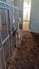 Filename=20230610_005.jpg
Filesize=651KiB
Dimensions=1152x2048
Date added=Sep 07, 2023 20230610_005.jpg