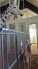 Filename=20230610_006.jpg
Filesize=629KiB
Dimensions=1152x2048
Date added=Sep 07, 2023 20230610_006.jpg