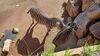 Filename=20230610_010.jpg
Filesize=840KiB
Dimensions=2048x1152
Date added=Sep 07, 2023 20230610_010.jpg