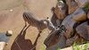 Filename=20230610_011.jpg
Filesize=828KiB
Dimensions=2048x1152
Date added=Sep 07, 2023 20230610_011.jpg