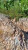 Filename=20230610_012.jpg
Filesize=830KiB
Dimensions=1152x2048
Date added=Sep 07, 2023 20230610_012.jpg