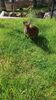 Filename=20230610_015.jpg
Filesize=1028KiB
Dimensions=1152x2048
Date added=Sep 07, 2023 20230610_015.jpg