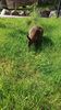 Filename=20230610_016.jpg
Filesize=1050KiB
Dimensions=1152x2048
Date added=Sep 07, 2023 20230610_016.jpg