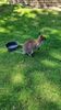 Filename=20230610_018.jpg
Filesize=1015KiB
Dimensions=1152x2048
Date added=Sep 07, 2023 20230610_018.jpg