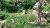Filename=20230610_019.jpg
Filesize=906KiB
Dimensions=2048x1152
Date added=Sep 07, 2023 20230610_019.jpg