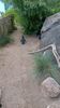 Filename=20230610_021.jpg
Filesize=851KiB
Dimensions=1152x2048
Date added=Sep 07, 2023 20230610_021.jpg