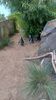 Filename=20230610_022.jpg
Filesize=881KiB
Dimensions=1152x2048
Date added=Sep 07, 2023 20230610_022.jpg