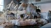 Filename=20230610_024.jpg
Filesize=622KiB
Dimensions=2048x1152
Date added=Sep 07, 2023 20230610_024.jpg