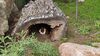 Filename=20230610_029.jpg
Filesize=824KiB
Dimensions=2048x1152
Date added=Sep 07, 2023 20230610_029.jpg