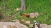 Filename=20230610_030.jpg
Filesize=864KiB
Dimensions=2048x1152
Date added=Sep 07, 2023 20230610_030.jpg