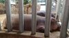 Filename=20230610_031.jpg
Filesize=461KiB
Dimensions=2048x1152
Date added=Sep 07, 2023 20230610_031.jpg