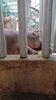 Filename=20230610_035.jpg
Filesize=449KiB
Dimensions=1152x2048
Date added=Sep 07, 2023 20230610_035.jpg