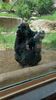 Filename=20230610_036.jpg
Filesize=726KiB
Dimensions=1152x2048
Date added=Sep 07, 2023 20230610_036.jpg