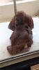 Filename=20230610_038.jpg
Filesize=253KiB
Dimensions=1152x2048
Date added=Sep 07, 2023 20230610_038.jpg