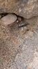 Filename=20230610_040.jpg
Filesize=961KiB
Dimensions=1152x2048
Date added=Sep 07, 2023 20230610_040.jpg
