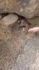 Filename=20230610_041.jpg
Filesize=920KiB
Dimensions=1152x2048
Date added=Sep 07, 2023 20230610_041.jpg